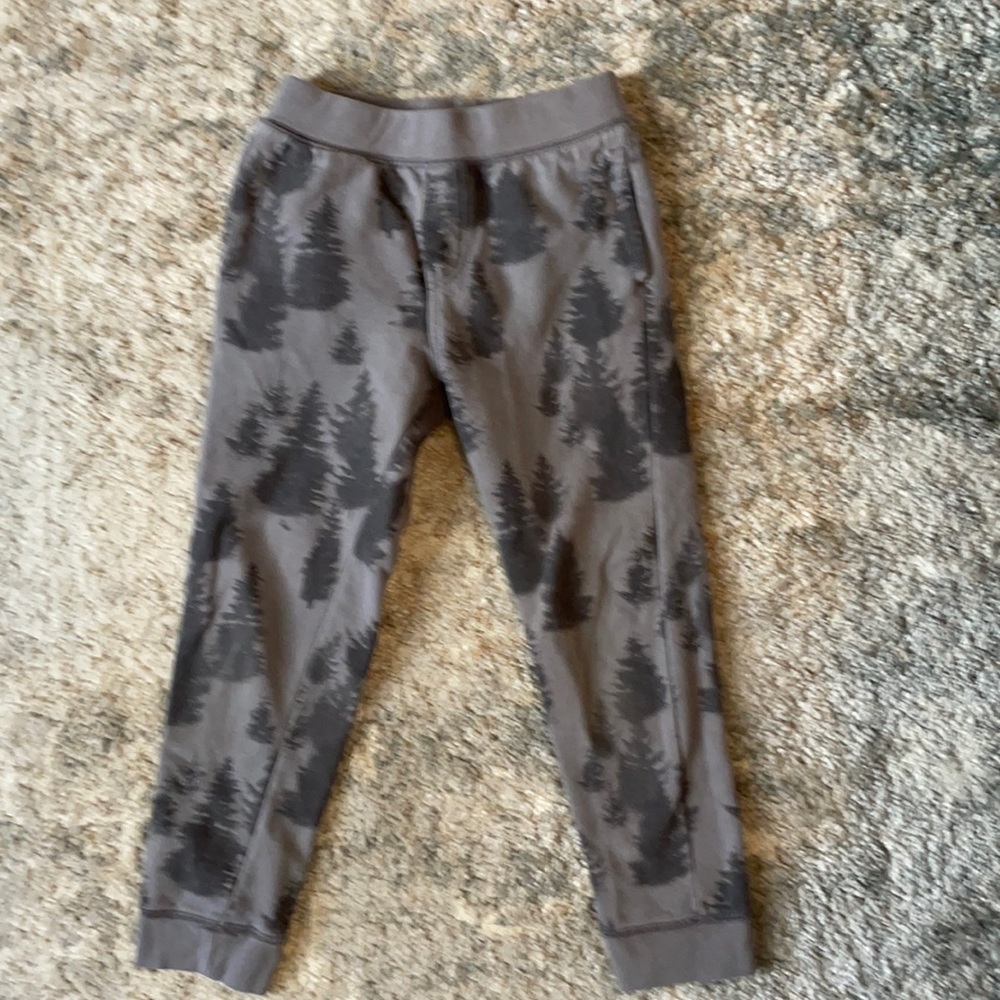 Tea Collection Joggers